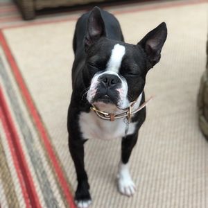 Meet your Posher, Audrey